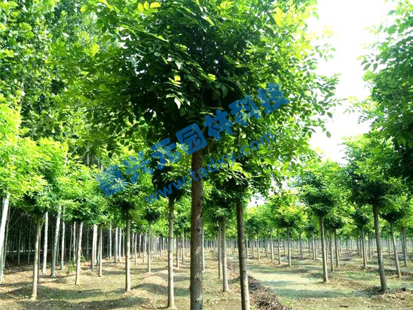 �c���鿴Ԕ����Ϣ���}����Ϟ ��x�Δ���2154