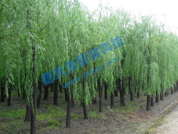 �c���鿴Ԕ����Ϣ���}������ ��x�Δ���2149