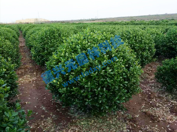 �c���鿴Ԕ����Ϣ���}�����~�S���� ��x�Δ���2295