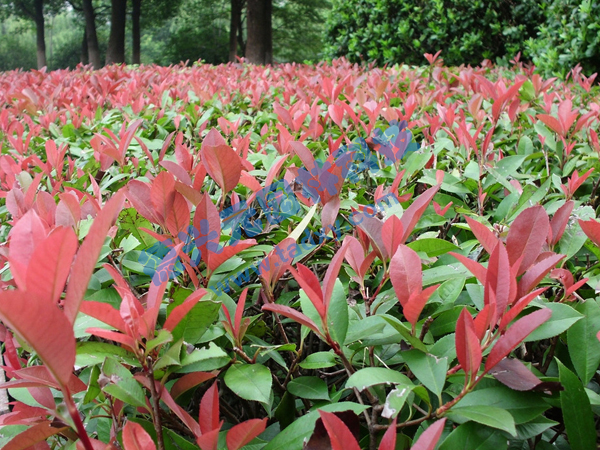 �c���鿴Ԕ����Ϣ���}���t�~ʯ� ��x�Δ���2211