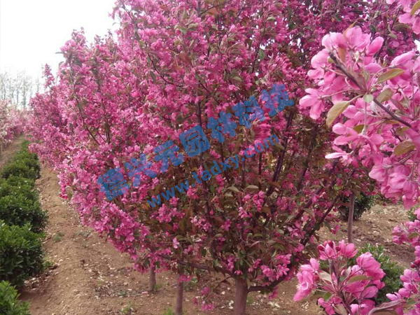 �c���鿴Ԕ����Ϣ���}���k������ ��x�Δ�(sh��)��2016