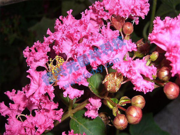 �c���鿴Ԕ����Ϣ���}����ޱ ��x�Δ���1653