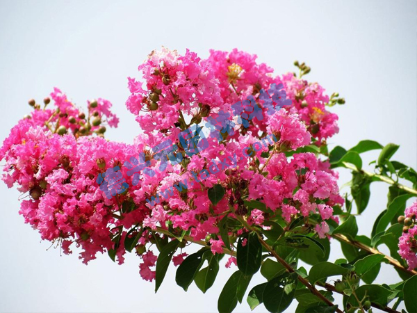 �c���鿴Ԕ����Ϣ���}����ޱ ��x�Δ�(sh��)��1754